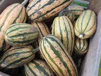 Champlain Islands Farmers Market Harvest Fest