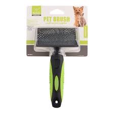 Nunbell Ince Telli Kedi Kopek Taragi Medium
