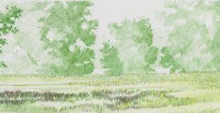 Amazing art pencil drawings landscapes realistic step simple. Realistic Landscape Greens With Colored Pencils Carrie L Lewis Artist