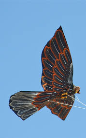 Kite Eagle Go Fly A Kite Bird Kite Kite