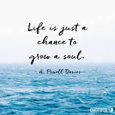 Never Miss And Opportunity Life Goes Too Fast Click The Image To See The Latest Winter Wear From Mind Soul Society In 2020 Mindfulness Quote Citation Soul