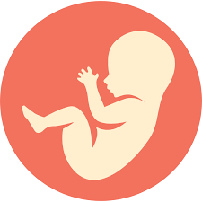 17 to 19 weeks (photos) every pregnant belly is different. 17 Weeks Pregnant Belly Symptoms Baby Size More Babycenter