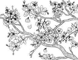 Check spelling or type a new query. Cherry Blossom Coloring Page Free Flower Coloring Pages Cherry Blossom Art Coloring Pages