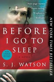 Before I Go To Sleep By S.J. Watson: Study Guide & Literary Devices