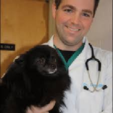 COMPANION VETERINARY HEALTH CENTER