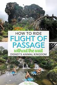 How To Ride Avatar Flight Of Passage Without The Wait Trips With Tykes Animal Kingdom Disney Disney World Parks Disney World Vacation