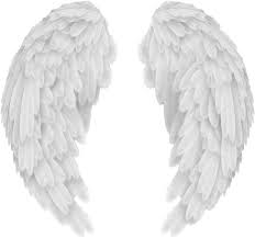 Discover And Download Full Size Wings Png Images Free Download Angel Wings Png Clip Transparent Background Angel Wings Png Angel Wings Png Wings Png Wings