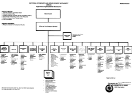 Organizational Structure Neda Xii