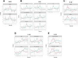 Ls models 30702 autotransportwagen ta260 less grau stva dc. Promoter Usage And Dynamics In Vascular Smooth Muscle Cells Exposed To Fibroblast Growth Factor 2 Or Interleukin 1b Scientific Reports