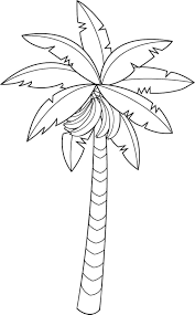You can use our amazing online tool to color and edit the following banana tree coloring pages. Banana Tree Coloring Pages A Banana Is An Edible Fruit Botanically A Berry Produced By S Tree Coloring Page Fruit Coloring Pages Pumpkin Coloring Pages