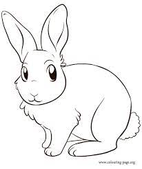 When we think of october holidays, most of us think of halloween. Cute Rabbit Coloring Page Coloring Home