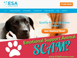 Emotional Support Animal Letter From Esadoctors Com Esadoctors Com Review We Wrote An Esadoctors Com Emotional Support Animal Emotional Support Animal Letters