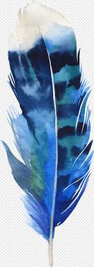 We did not find results for: Blue And White Feather Illustration Feather Drawing Boho Chic Illustration Feather Watercolor Painting Animals Peacock Feather Png Pngwing