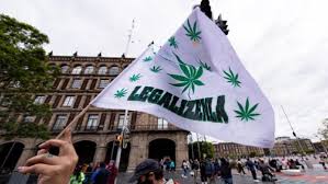 Legalización de la marihuana méxico. Dekeitky7dfddm