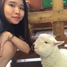 Cheng Hui Jie, Author at TripZilla