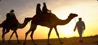 Morning safari with camel riding will give you the opportunity to view the desert and also enjoy a camel ride on the hot sands of dubai. Dubai Trip Morning Desert Safari With Camel Ride
