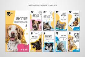 Download Adopt A Pet Instagram Stories Template For Free Pet Websites Pet Advertising Dog Hotel Design