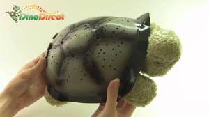Turtle Night Light Star Guide Constellation Dinodirect Youtube