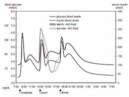 The Extra High Peak In Blood Sugar After Eating Sucrose In