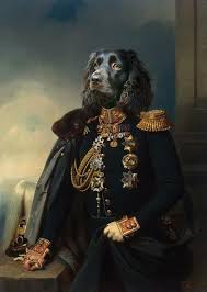 Trammer Be Animal Portraits Art Pet Portraits Dog Portraits