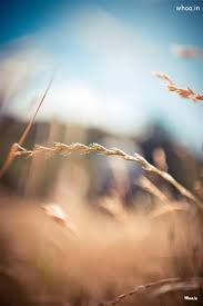 Not only photoshoot background hd, you could also find another pics such as photoshoot backdrop, photoshoot set, photoshoot template, photoshoot lighting, photoshoot ideas. Slow Motion Photography Images And Full Hd Wallpapers