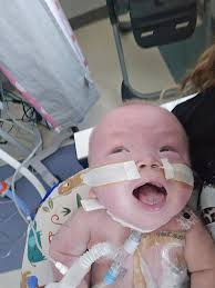 Grayson's emotional return to the batters box