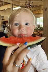 Seth's Produce & Garden Center