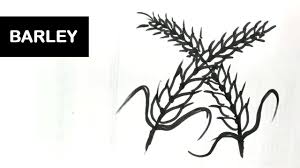How To Draw Barley Step By Step Drawing For Children Youtube All right reserved about each tutorial by the creator member. how to draw barley step by step drawing for children