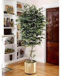 Shop for artificial ficus plants at walmart.com. Pin On Apartment