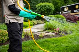 Visits, Apps, & Treatments, Oh My! How Many Times Does My Lawn Care Company  Need to Show Up?
