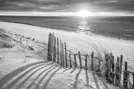 Check spelling or type a new query. Black And White Beach Photos For Sale Dapixara Select From A Range Of Most Liked Black And White Beach Photos With Custom Framing Canvas More