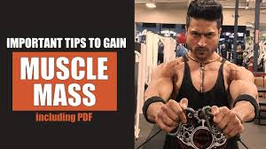 important tips to gain muscle mass by guru mann including pdf