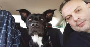 Local group trains service dogs for soldiers