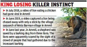 Similar words of scavengers are also commonly used in daily talk like as scavenger. From Royal Feasts To Tourism Titbits Gir Lions Turning Into Scavengers Ahmedabad News Times Of India