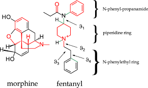 If that wasn't potent or deadly enough, carfentanil is 100 times stronger than fentanyl. Molecular Dynamics Of Fentanyl Bound To M Opioid Receptor Springerlink