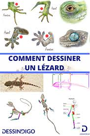 Comment Realiser Un Dessin De Lezard Dessin Lezard Dessin Apprendre A Dessiner Des Animaux