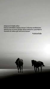 menese adli kullanicinin guzel sozler bende panosundaki pin ozlu sozler guzel soz ilham veren alintilar