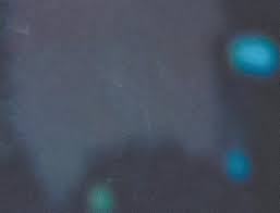 Jewish Light Digital Edition: Oct. 4, 2023 by stljewishlight