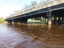 Kegiatan pembersihan sampah di sungai cikeruh menurut bernando, sudah rutin dilakukan pihaknya. Laman Web Rasmi Lembaga Sungai Sungai Sarawak