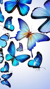 Beautiful vector, photo and png textures. Best Butterfly Iphone Hd Wallpapers Ilikewallpaper