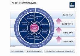 The Hr Profession Map Learning And Development Organization Development Strategy Map