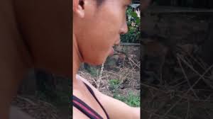 Budidaya Ikan Lele Dan Ikan Nila Campur Ikan Gabus Youtube