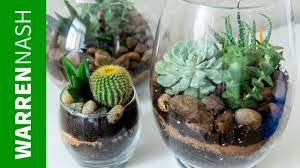 One can sometimes find such rocks already drilled at places specializing in pottery, or succulents, or another idea for succulent 'pots' is to fill of tube of some sort with potting soil and use these tubes to plant succulents in. Succulent Planter Ideas Growing Your First Collection Easy Diy By Warren Nash Youtube