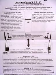 Pin On Delena Strava