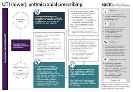 Overview Urinary Tract Infection Lower Antimicrobial