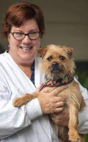 Earn petsmart treats loyalty points. Our Veterinarians Nottingham Animal Hospital Hamilton Nj