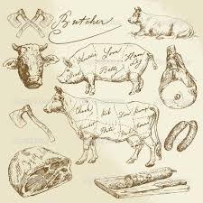 Vintage Butcher Chart How To Draw Hands Pork Stock Drawings