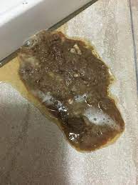 Oftentimes, people will find that the corn they've eaten ends up in their poo. Maltese Vomiting Undigested Food And Bile No Blood Diarrhoea Before But Normal Stool A Few Hours Ago No Bloating Or Stomach Pain Petcoach