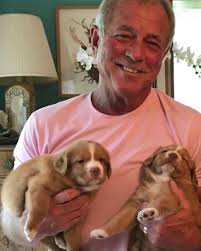 Seneca (@senecapettee) · Instagram photos and Reels