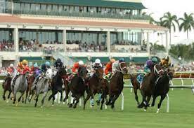 gulfstream park thoroughbred ownerview thoroughbred owners thoroughbred trainers thoroughbred partnerships thoroughbred retirement